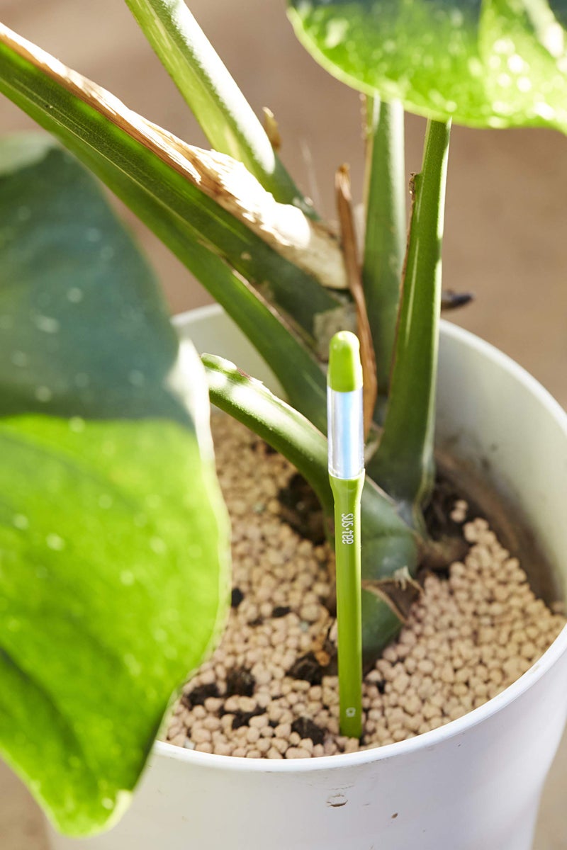 Sustee Aquameter (Large Green Refillable - Bundle of 2) - House Plant Soil Moisture Meter, Humidity Sensor Probe, Water Level Indicator - Best for Indoor Potted Plants - Image 4